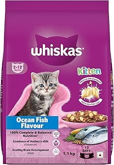 Whiskas Junior Mother Cat & Kitten (2-12 Months) Dry Cat Food, Ocean Fish Flavour, 1.1 kg, Contains 41 Essential Nutrients, Complete & Balanced Nutrition for Mother Cats & Kittens
